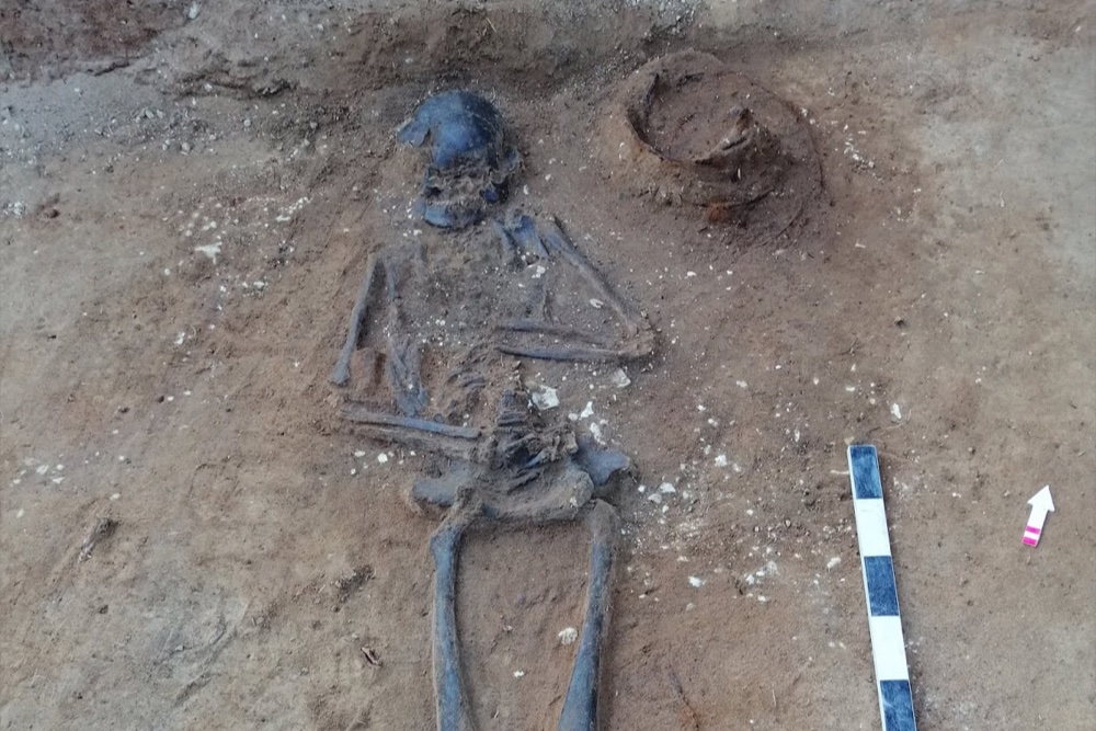Археологи МГУ нашли под Смоленском погребение воина с копьем и фрагментом арабской монеты