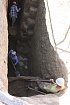 Выемка затёчного грунта из входной ямы погребальной катакомбы с древними ступеньками