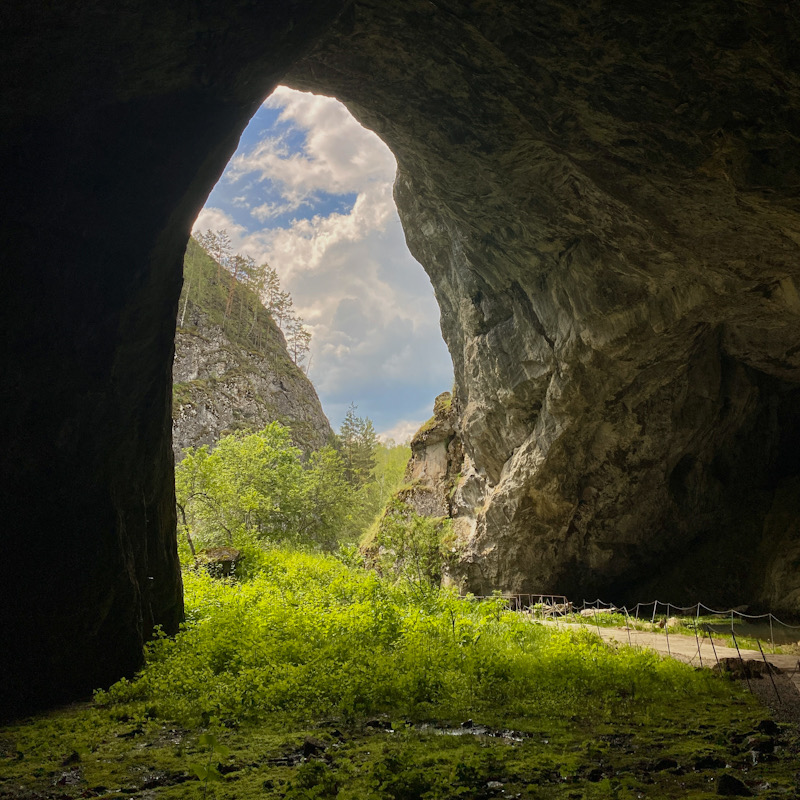 В Каповой пещере обнаружены тропа доисторического художника и новые настенные изображения